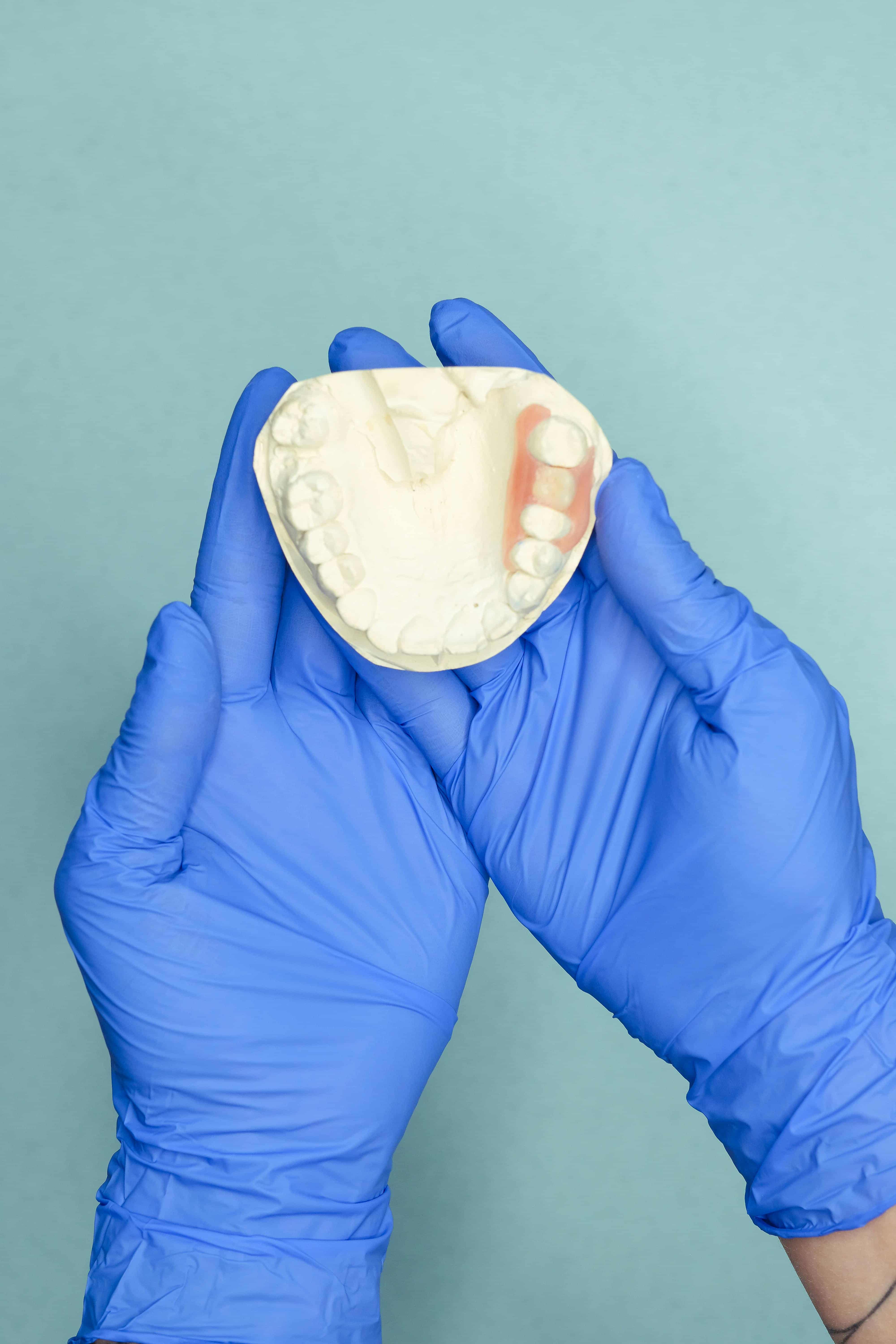 Jaw Model